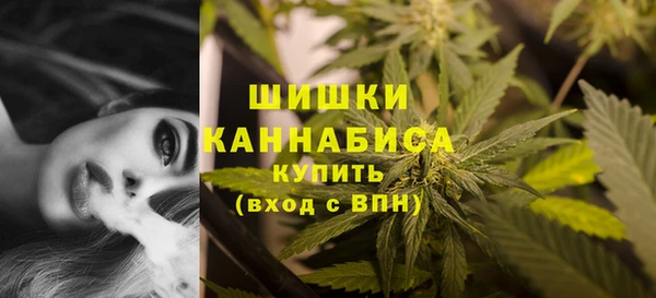 стафф Бородино