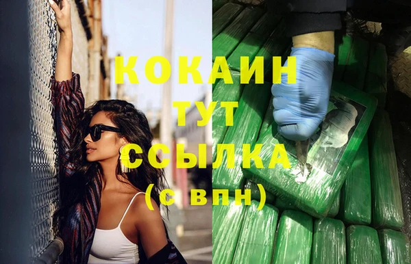 дживик Бронницы