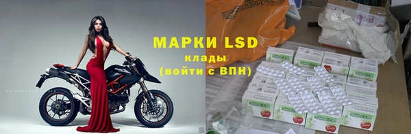 стафф Бородино