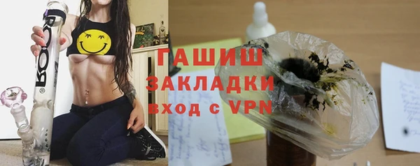 стафф Бородино