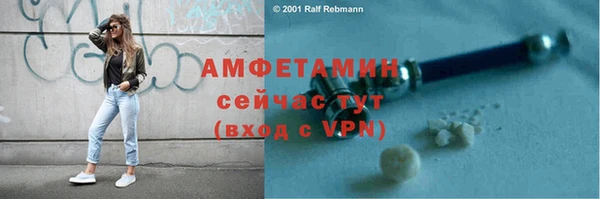 стафф Бородино