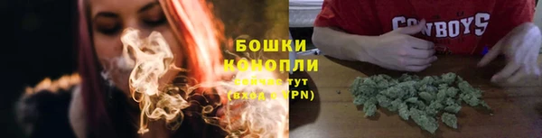 прущие грибы Дмитров