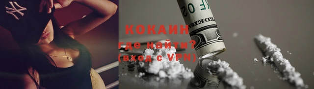 стафф Бородино
