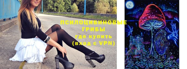 стафф Бородино