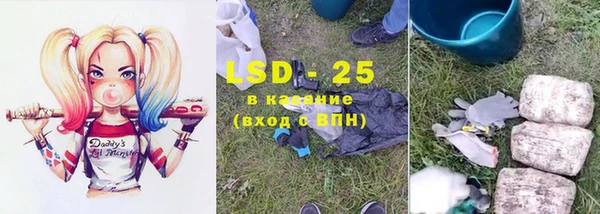 стафф Бородино