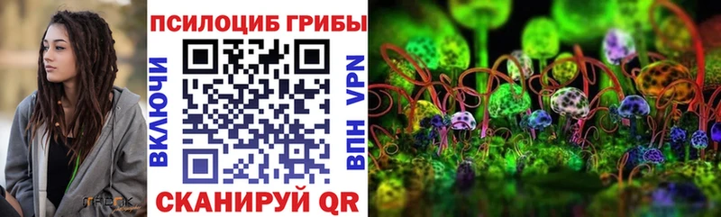 блэк спрут ссылки  Мичуринск  Галлюциногенные грибы Psilocybine cubensis 